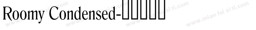 Roomy Condensed字体转换